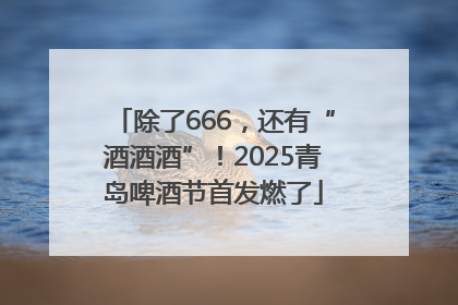 除了666，还有“酒酒酒”！2025青岛啤酒节首发燃了