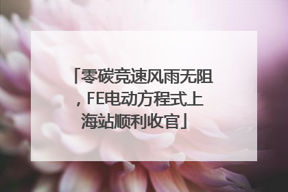 零碳竞速风雨无阻，FE电动方程式上海站顺利收官