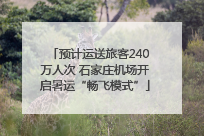 预计运送旅客240万人次 石家庄机场开启暑运“畅飞模式”