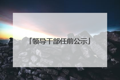 领导干部任前公示