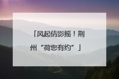 风起倩影摇！荆州“荷您有约”
