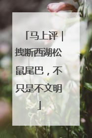 马上评｜拽断西湖松鼠尾巴，不只是不文明