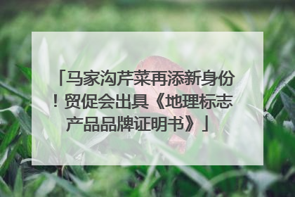 马家沟芹菜再添新身份！贸促会出具《地理标志产品品牌证明书》