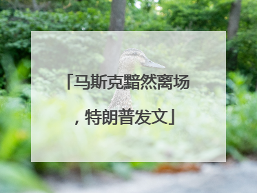 马斯克黯然离场，特朗普发文