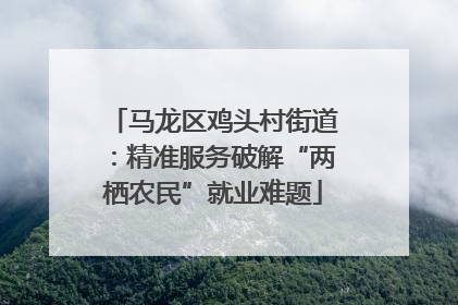 马龙区鸡头村街道：精准服务破解“两栖农民”就业难题
