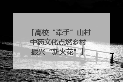 高校“牵手”山村 中药文化点燃乡村振兴“新火花”