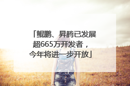 鲲鹏、昇腾已发展超665万开发者，今年将进一步开放
