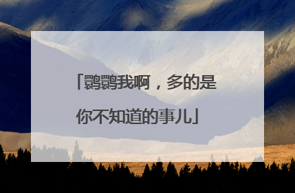 鹮鹮我啊，多的是你不知道的事儿