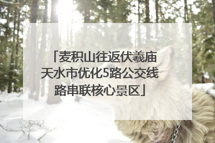 麦积山往返伏羲庙 天水市优化5路公交线路串联核心景区