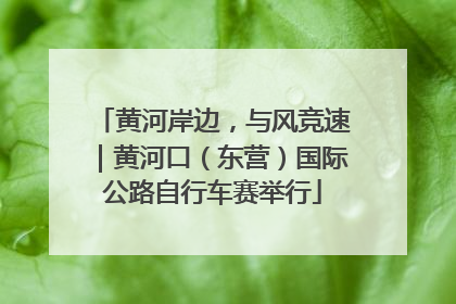 黄河岸边，与风竞速｜黄河口（东营）国际公路自行车赛举行