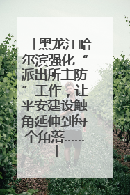 黑龙江哈尔滨强化“派出所主防”工作，让平安建设触角延伸到每个角落……
