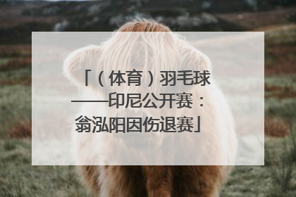 （体育）羽毛球——印尼公开赛：翁泓阳因伤退赛