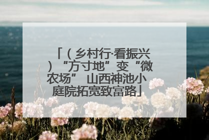 （乡村行·看振兴）“方寸地”变“微农场” 山西神池小庭院拓宽致富路