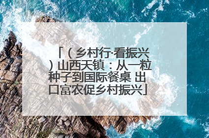 （乡村行·看振兴）山西天镇：从一粒种子到国际餐桌 出口富农促乡村振兴