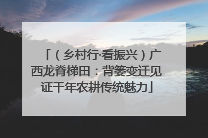 （乡村行·看振兴）广西龙脊梯田：背篓变迁见证千年农耕传统魅力