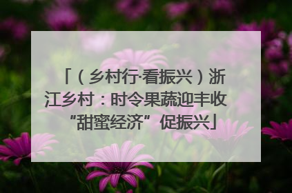 （乡村行·看振兴）浙江乡村：时令果蔬迎丰收 “甜蜜经济”促振兴