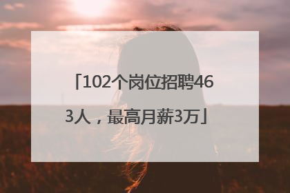 102个岗位招聘463人，最高月薪3万