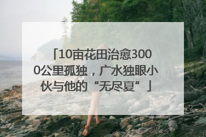 10亩花田治愈3000公里孤独，广水独眼小伙与他的“无尽夏”