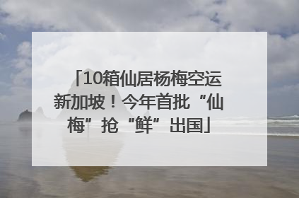 10箱仙居杨梅空运新加坡！今年首批“仙梅”抢“鲜”出国