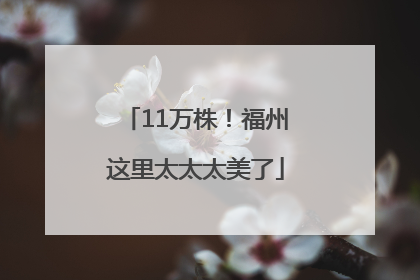11万株！福州这里太太太美了