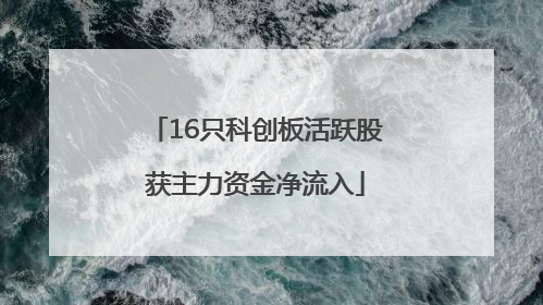 16只科创板活跃股获主力资金净流入
