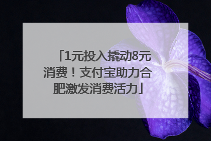 1元投入撬动8元消费！支付宝助力合肥激发消费活力