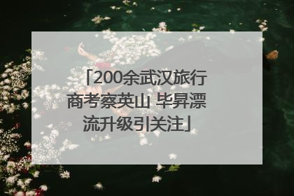 200余武汉旅行商考察英山 毕昇漂流升级引关注