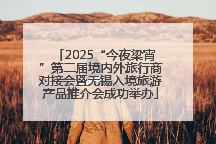 2025“今夜梁宵”第二届境内外旅行商对接会暨无锡入境旅游产品推介会成功举办