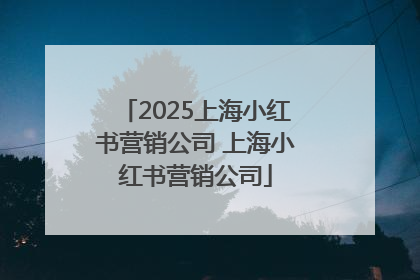 2025上海小红书营销公司 上海小红书营销公司
