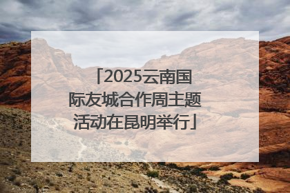 2025云南国际友城合作周主题活动在昆明举行