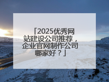 2025优秀网站建设公司推荐，企业官网制作公司哪家好？