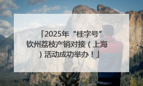 2025年“桂字号”钦州荔枝产销对接（上海）活动成功举办！