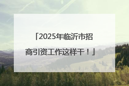 2025年临沂市招商引资工作这样干！