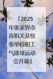 2025年张家界市直机关及驻张单位职工气排球运动会开幕