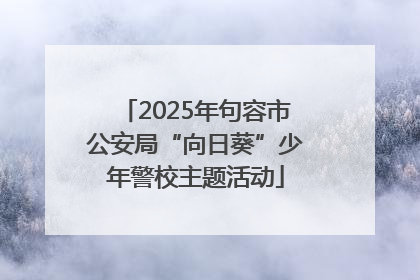 2025年句容市公安局“向日葵”少年警校主题活动
