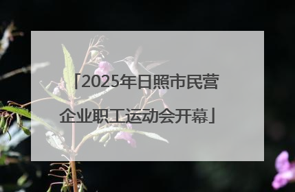 2025年日照市民营企业职工运动会开幕