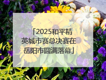2025和平精英城市赛总决赛在岳阳市圆满落幕