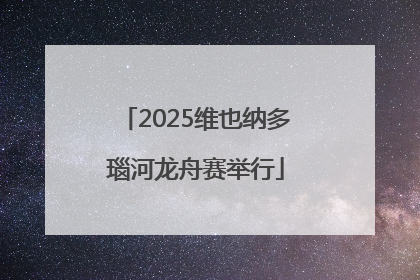 2025维也纳多瑙河龙舟赛举行