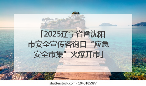 2025辽宁省暨沈阳市安全宣传咨询日“应急安全市集”火爆开市