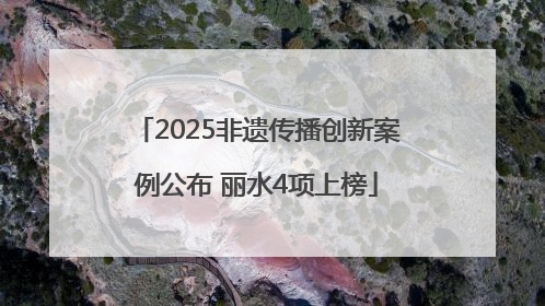 2025非遗传播创新案例公布 丽水4项上榜