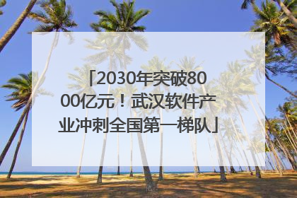 2030年突破8000亿元！武汉软件产业冲刺全国第一梯队
