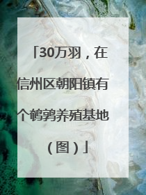 30万羽，在信州区朝阳镇有个鹌鹑养殖基地（图）