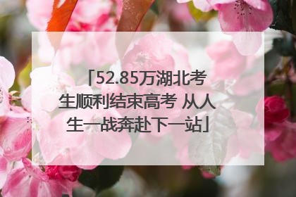 52.85万湖北考生顺利结束高考 从人生一战奔赴下一站