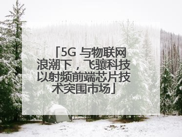 5G 与物联网浪潮下，飞骧科技以射频前端芯片技术突围市场