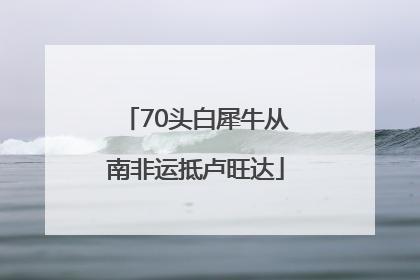 70头白犀牛从南非运抵卢旺达