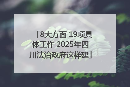 8大方面 19项具体工作 2025年四川法治政府这样建