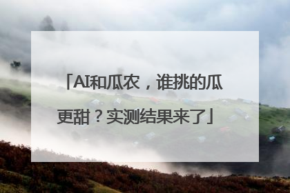 AI和瓜农，谁挑的瓜更甜？实测结果来了