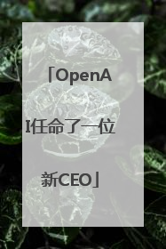 OpenAI任命了一位新CEO