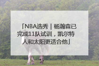 NBA选秀｜杨瀚森已完成11队试训，凯尔特人和太阳更适合他